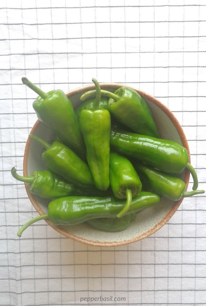 Shishito pepper recipe air fryer