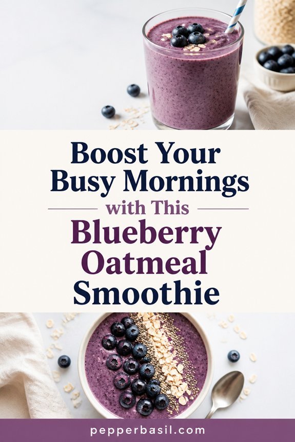 blueberry oatmeal breakfast blend